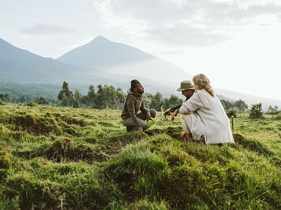 Singita Kwitonda dans le parc national des Volcans au Rwanda