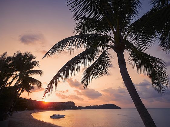 Plage de Koh Samui au coucher du soleil