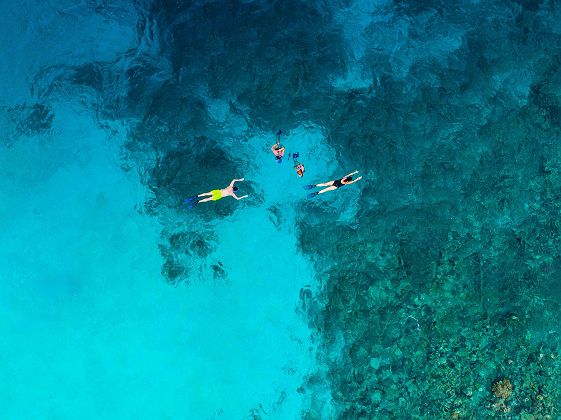 Snorkeling à Koh Samui