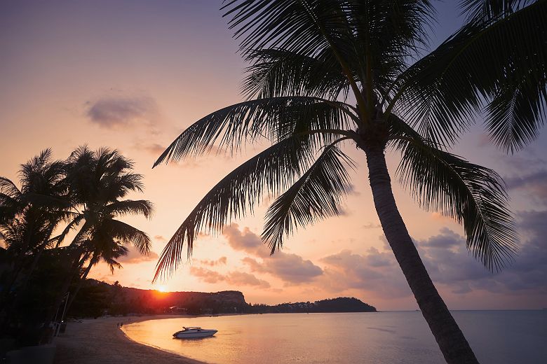 Plage de Koh Samui au coucher du soleil
