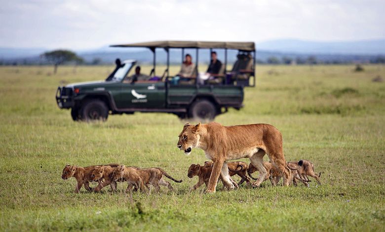 andBeyond Grumeti Serengeti River Lodge - famille de lions lors d'un safari