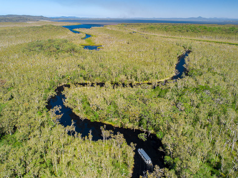 Noosa Everglades, Cooloola - Tourism Australia