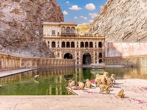 Monkey Temple à Jaipur, Inde