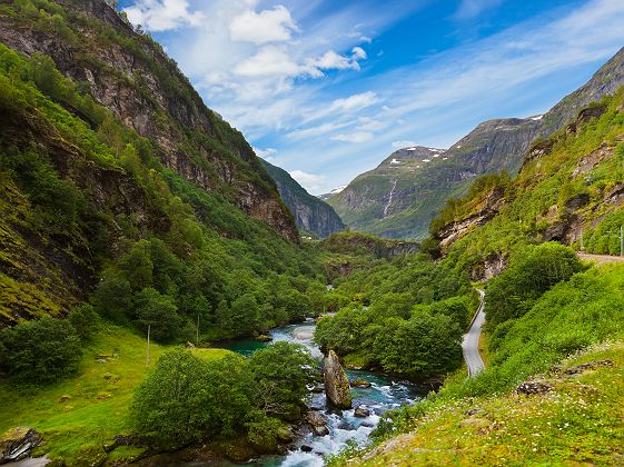 Norvège - Paysage vallonnée près du village Flåm