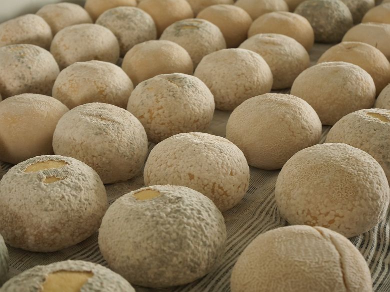 Confection de fromages Géorgiens - Géorgie