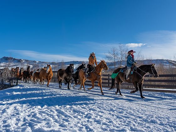 Balade à cheval au C Lazy U Ranch, Granby, Colorado, USA
