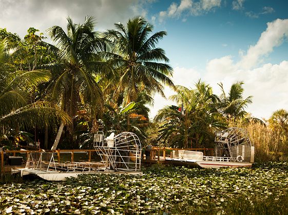 Etats-Unis - Balade en hydroglisseur dans les marrais du parc national des Everglades