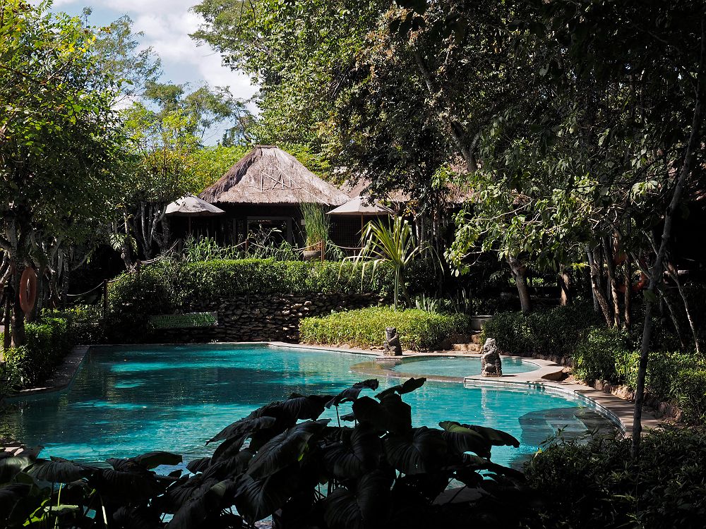 The Menjangan