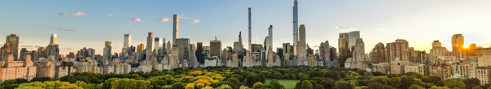 Central Park Skyline view