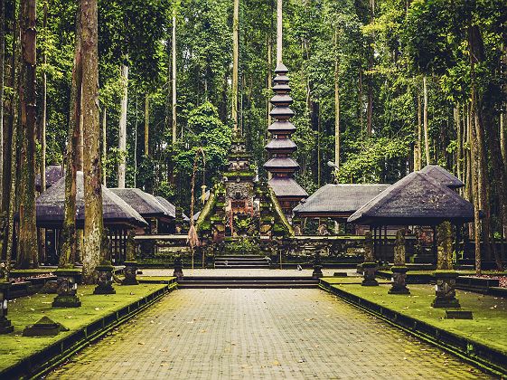Bali - Forêt sacrée des singes à Ubud