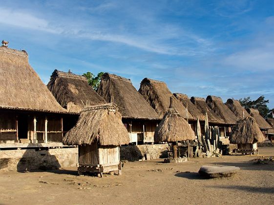 Village traditionnel de Bena a Flores, Indonesie