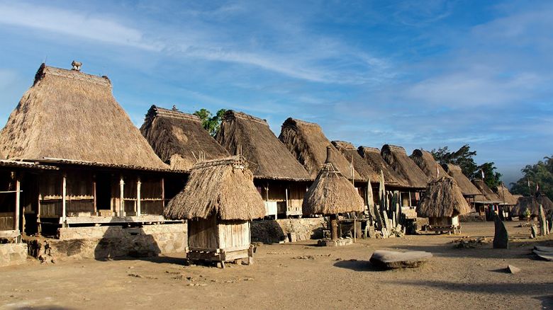 Village traditionnel de Bena a Flores, Indonesie