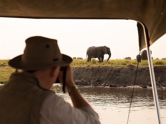 Botswana - Portrait au parc national Chobe