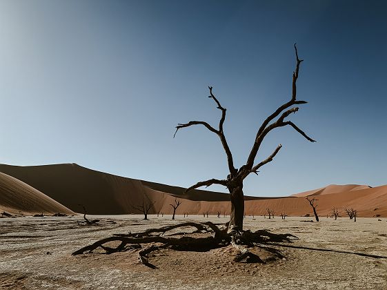 Deadvlei Sossusvlei Namib