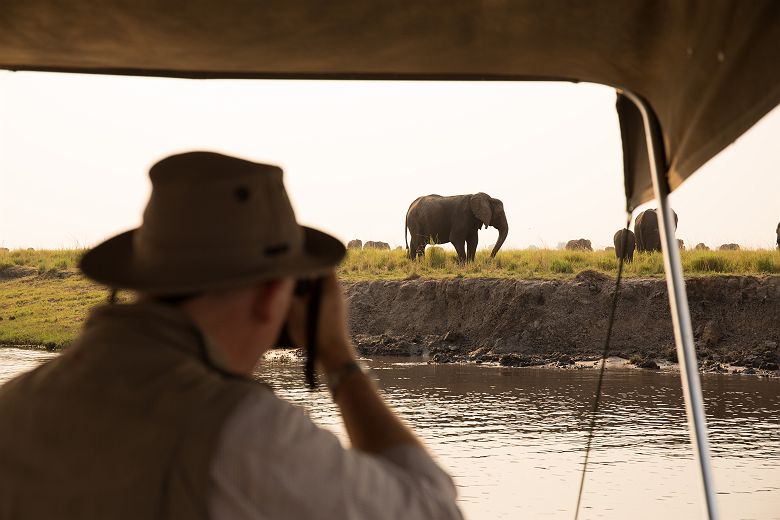 Botswana - Portrait au parc national Chobe