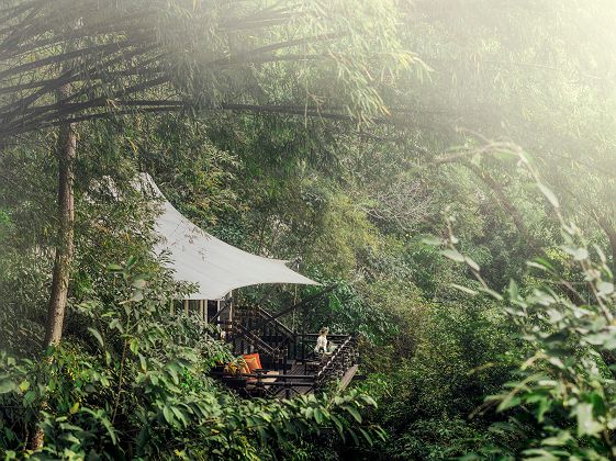 Four Season Golden triangle 