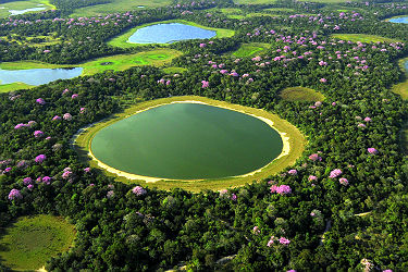 Brésil - Vue sur la région du Pantanal