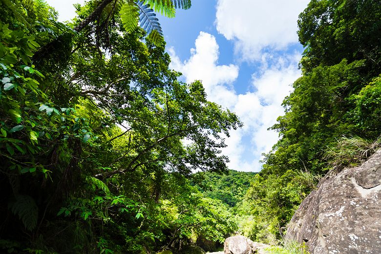 Iriomote Island ©OCVB