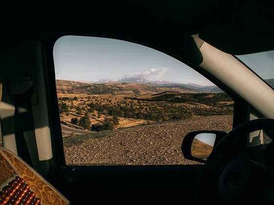 Route entre Essaouira et Marrakech - arganiers 
