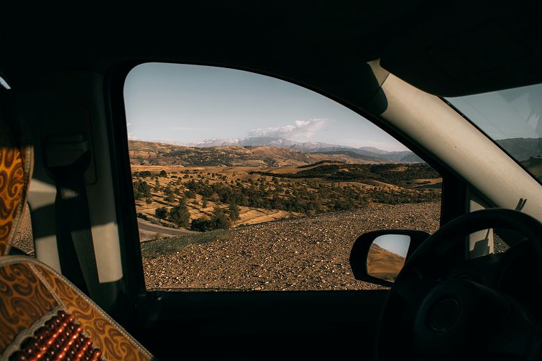 Route entre Essaouira et Marrakech - arganiers 