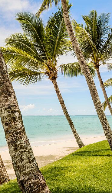 One&Only Le Saint Géran- Accroche