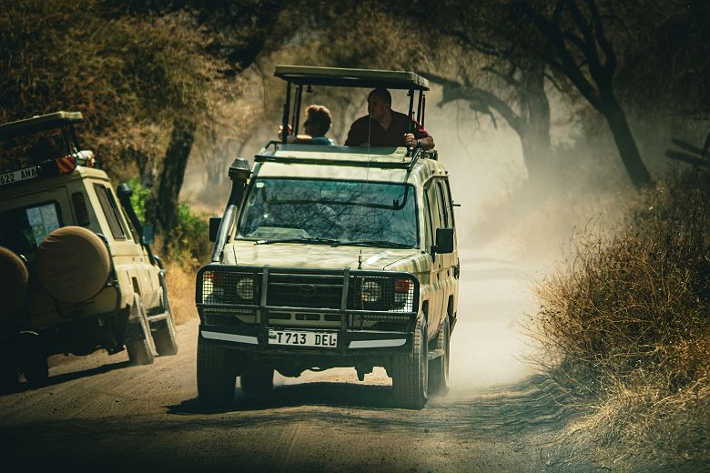 Véhicules avec chauffeurs guides dans le parc national du lac Manyara