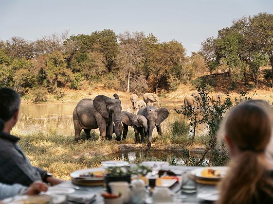 Petit déjeuner & vue sur la brousse sauvage et éléphants au Simbavati River Lodge