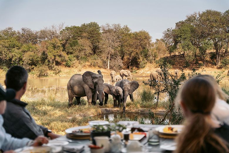 Petit déjeuner & vue sur la brousse sauvage et éléphants au Simbavati River Lodge