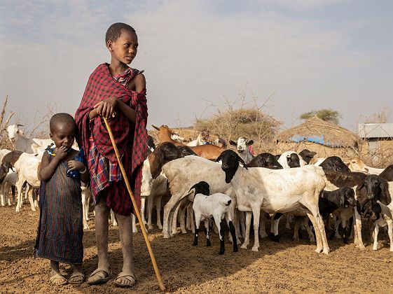 Enfants Masaï avec leur troupeau