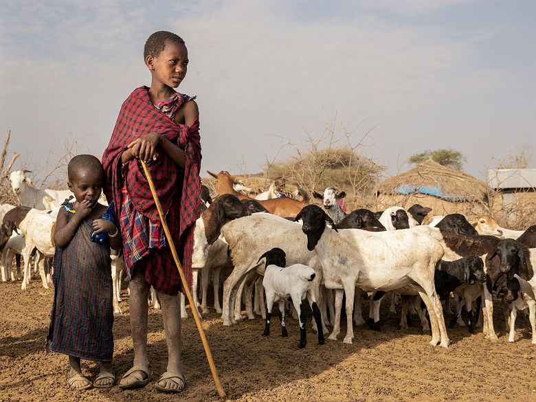 Enfants Masaï avec leur troupeau
