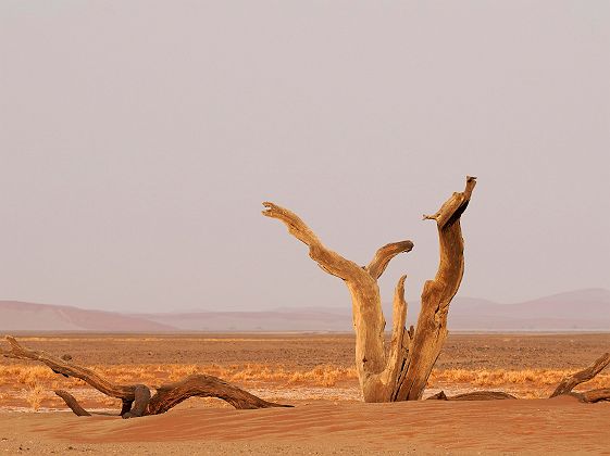 Paysage sur la route vers Sesriem