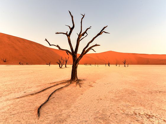 Namibie - Désert du Namib, Sossusvlei