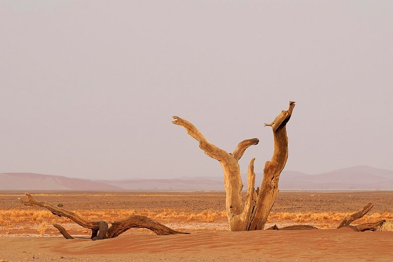 Paysage sur la route vers Sesriem