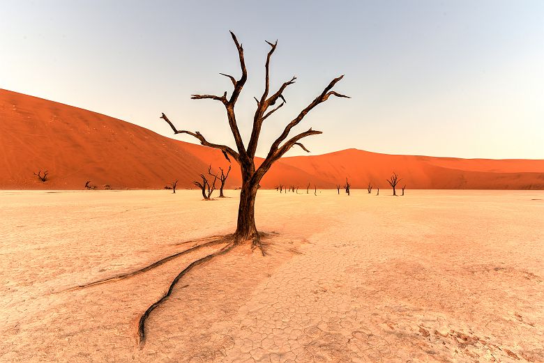 Namibie - Désert du Namib, Sossusvlei