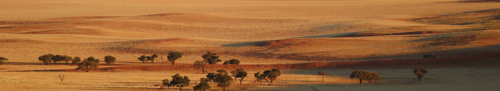 Paysages autour de Kwessi Dunes