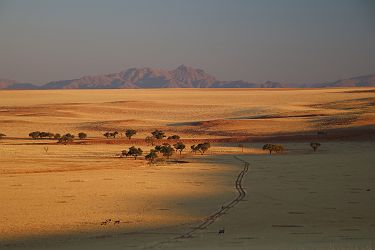 Paysages autour de Kwessi Dunes