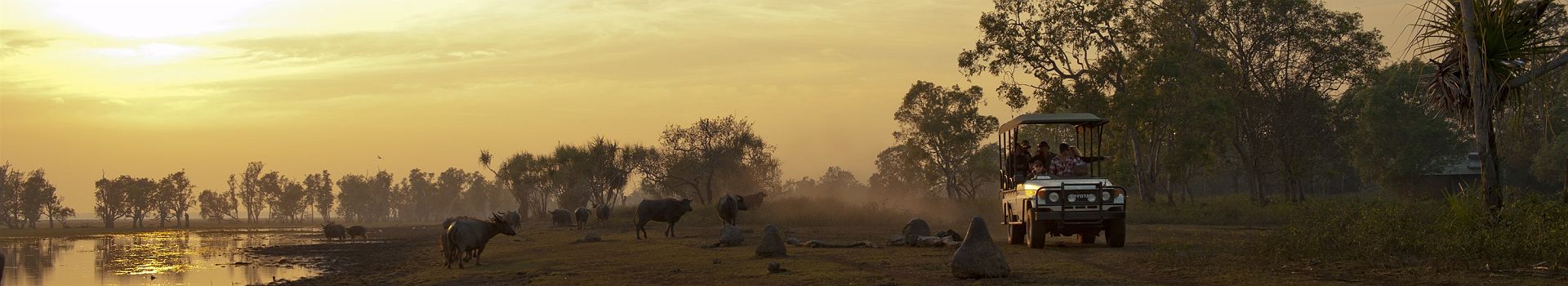 Bamurru Plains Wild Bush Luxury