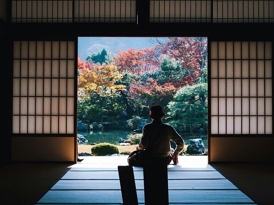 Femme assise en face d'un jardin