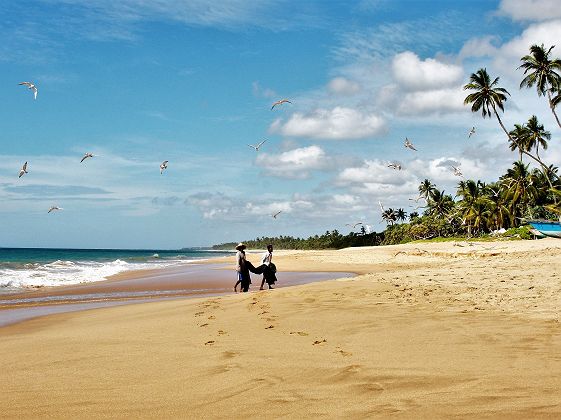 Plage de Negombo - Sri Lanka
