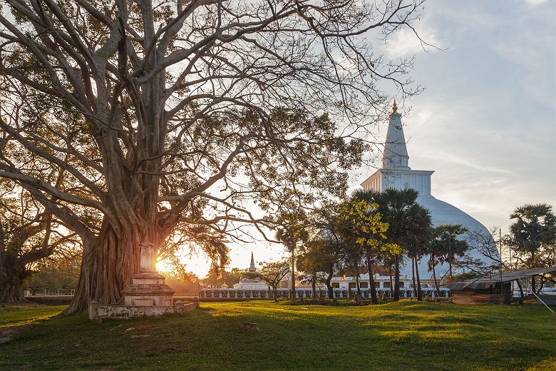 Sri Lanka - Vue sur la grande stupa Maha à Anuradhapura 