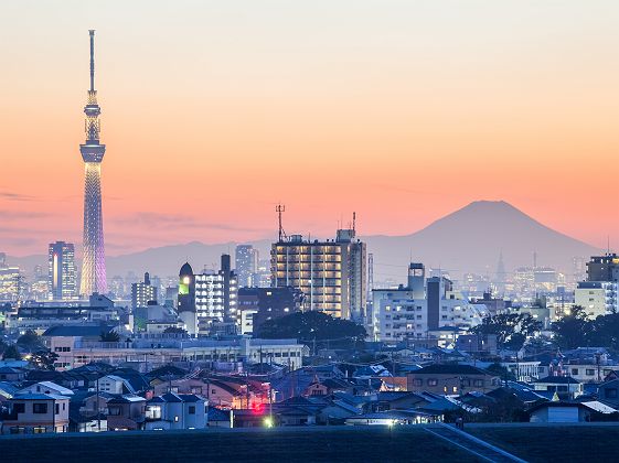 Japon - Vue sur la ville de Tokyo et mont Fuji en arrière-plan