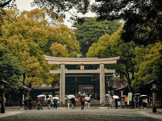 Meiji jingu - Tokyo