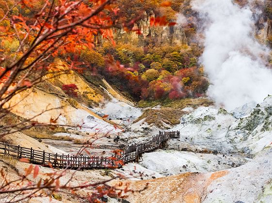 Sources chaudes de Jigokudani (Hell Valley) - Japon