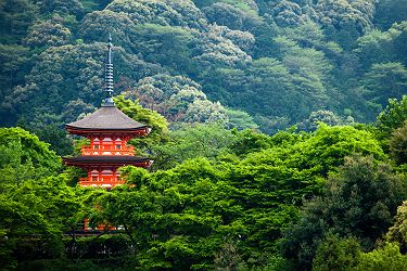 Pagode du temple Kiyomizu-dera à Kyoto - Japon