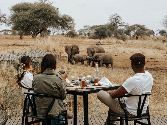 Petit déjeuner dans la savane au Nimali Tarangire