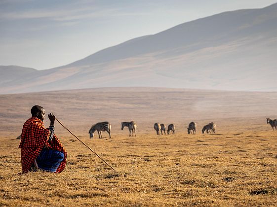 Lions Paw Ngorongoro