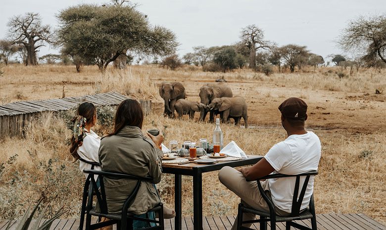 Petit déjeuner dans la savane au Nimali Tarangire
