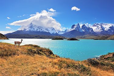 Chili - Parc National de "Torres del Paine"