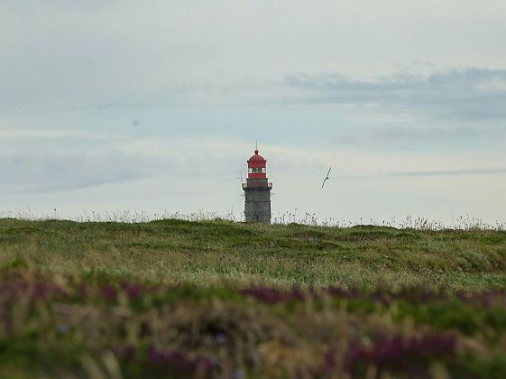 Ile de Vinga