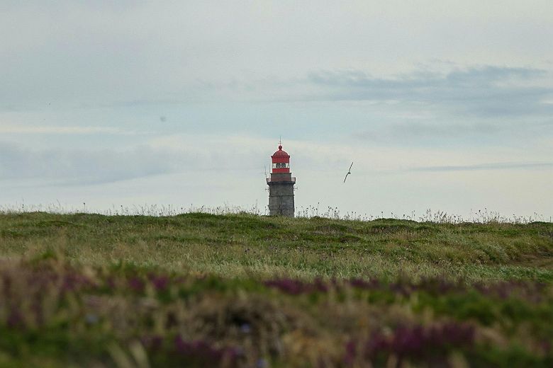 Ile de Vinga